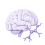 #icon