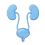 #icon