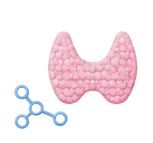 Endokrinolog