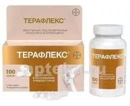 ТЕРАФЛЕКС капсулы N100