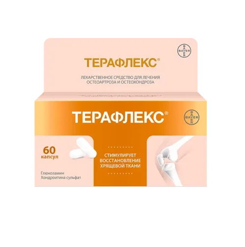 ТЕРАФЛЕКС капсулы N60