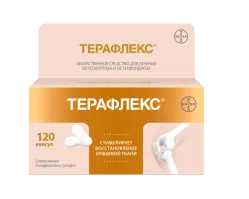 ТЕРАФЛЕКС капсулы N120