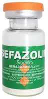 SEFAZOLIN SANITA PHARMA poroshok 1,0g N1
