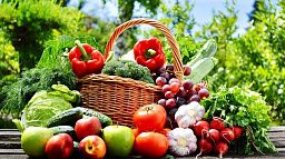 Овощи – фундаментальный элемент питания для поддержания крепкого здоровья